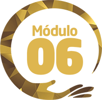 Selo referente ao Módulo 06.